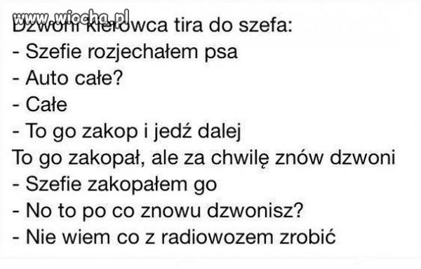 Przejechany przez tira