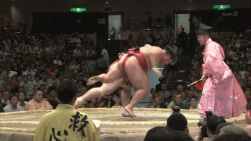 Sumo.