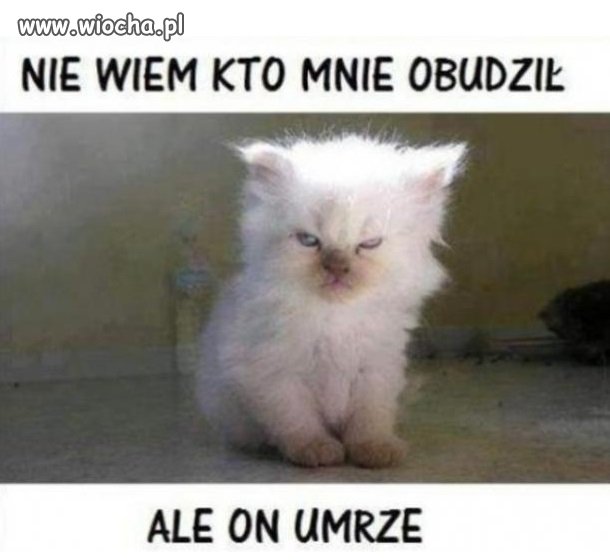 Kto mnie obudził?