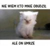 Kto mnie obudził?