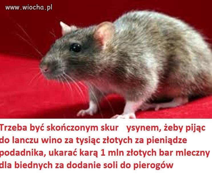 Mam typowy polski schizofreniczny dylemat - 