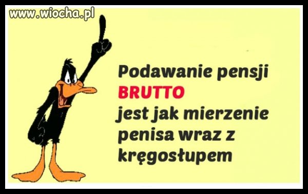 Podawanie pensji BRUTTO...