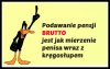 Podawanie pensji BRUTTO...
