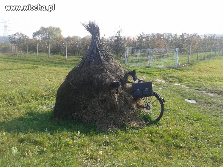 Zaparkował 
