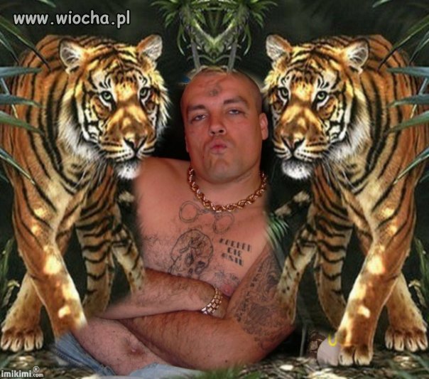 Król dżungli