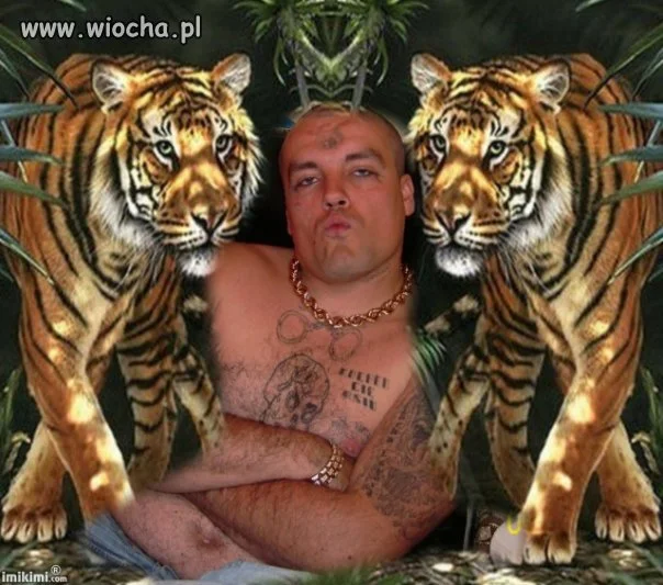 Król dżungli