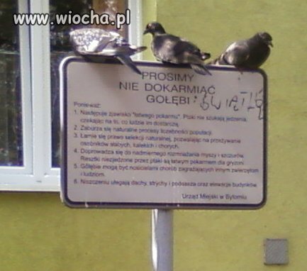 Akcja protestacyjna