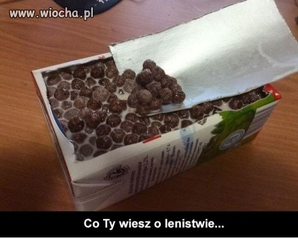 Lenistwo lvl Expert