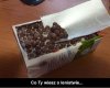 Lenistwo lvl Expert