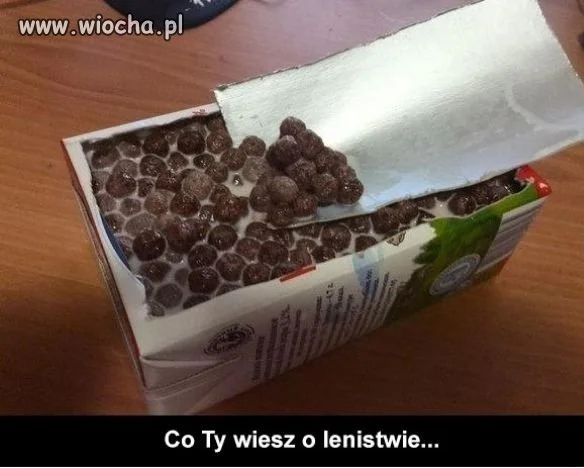 Lenistwo lvl Expert