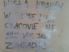 Ech ta nieśmiałość 