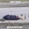 Hatchiko