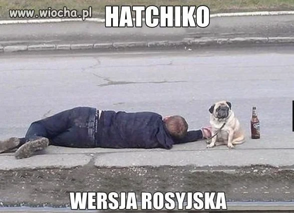 Hatchiko