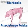 A oto świnka