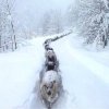 Typowi wyborcy PO i Bredzisława K...