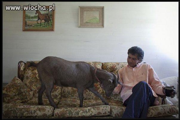 Mohammed rodzinnie na zdjęciu 