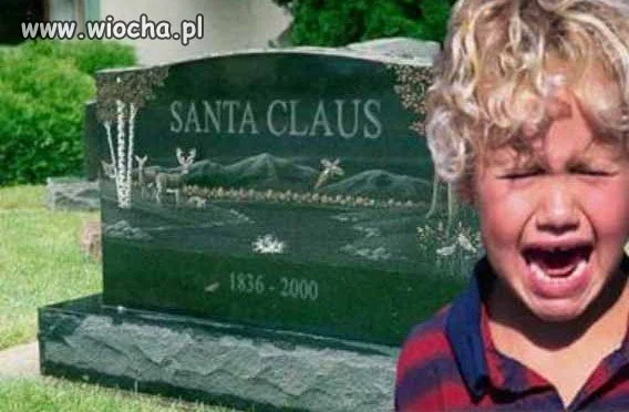 To się załamał... 