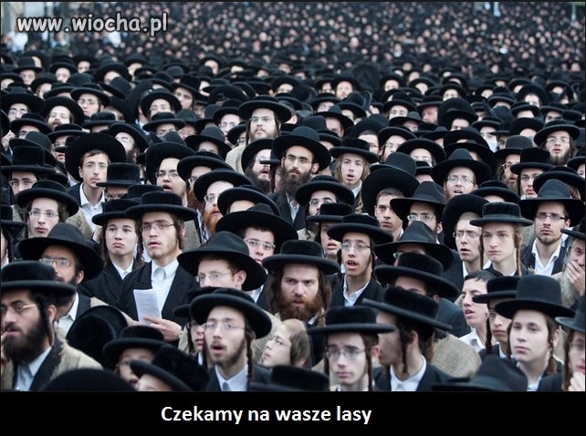 Mają obiecane