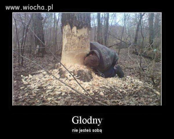 Głodny???