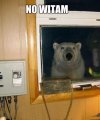 No witam
