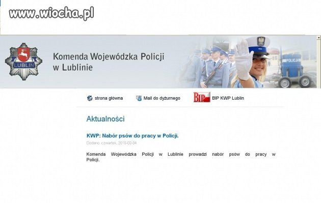 Nabór psów do Policji