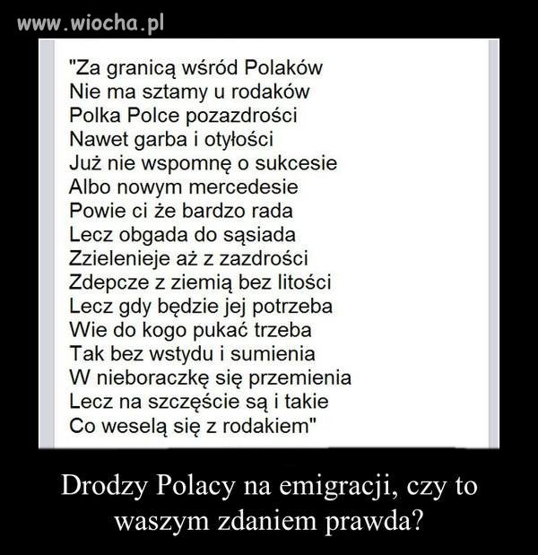Np.Anglik nie zaszkodzi Polakowi