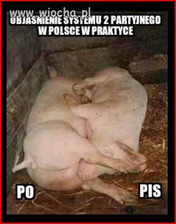 Prawdziwy POPiS