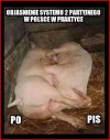 Prawdziwy POPiS