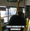 Normalny proszę