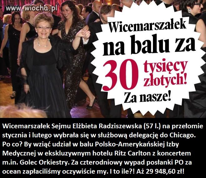Głupia krowa