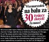 Głupia krowa