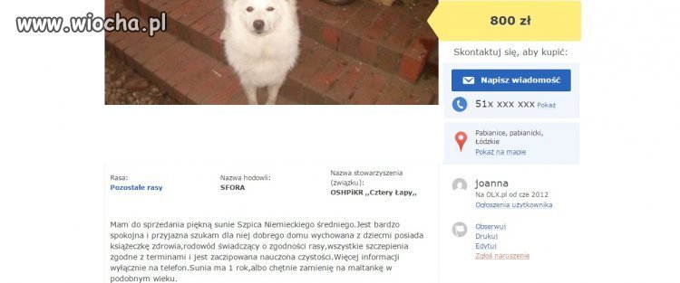 Pani powinna zamienić sobie raczej mózg, a nie psa.