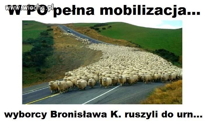 Wszyscy razem w jednym tempie smaruj doopę, albo pęknie