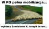 Wszyscy razem w jednym tempie smaruj doopę, albo pęknie
