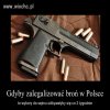Dlaczego nie ma legalizacji broni w Polsce.