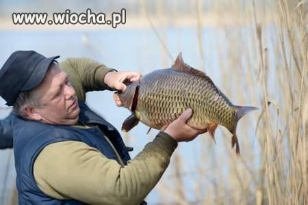 W d**ę wsadź sobie ten paluch!