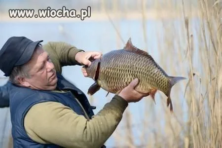 W d**ę wsadź sobie ten paluch!