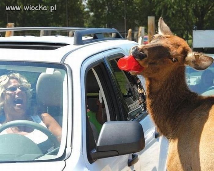 Gdzieś w świecie.