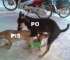 Układ partyjny w polskiej polityce