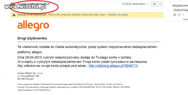 Wyłudzacze danych allegro