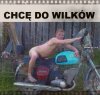 Przywódca stada