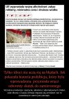 Kolejna durna decyzja