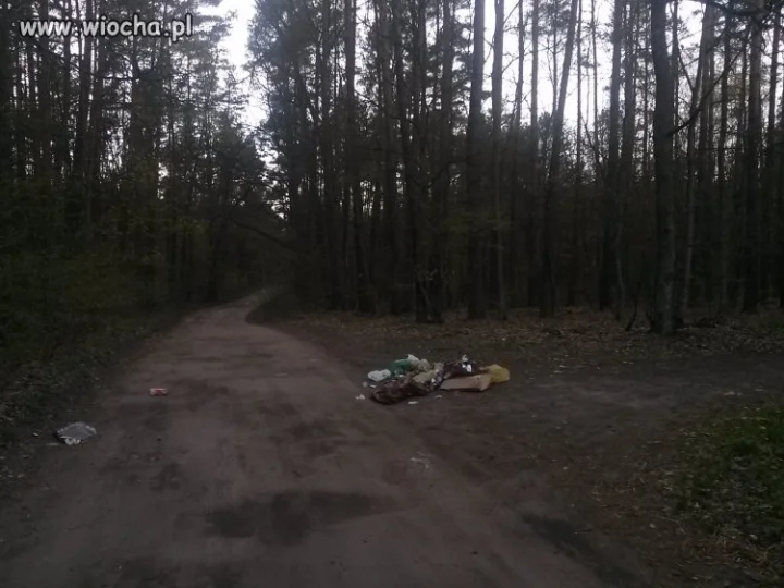 Ustawa śmieciowa działa w najlepsze!!!