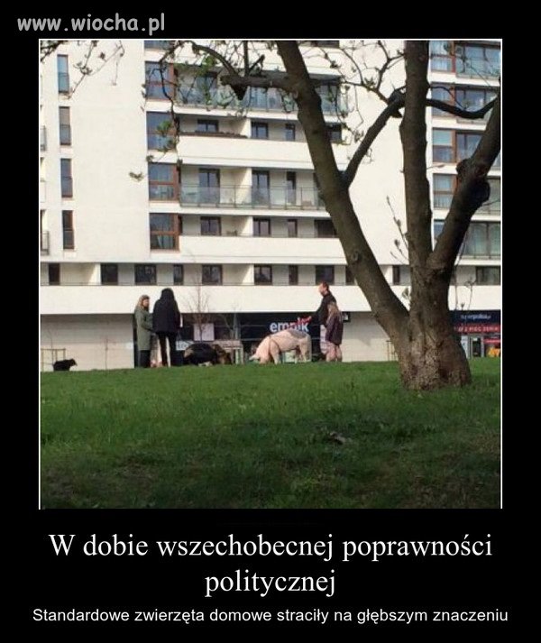 Osiedlowy spacerek 
