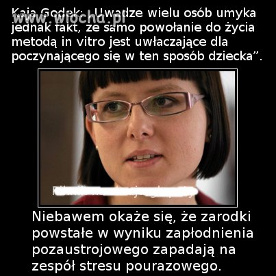 Gdyby głupota miała skrzydła