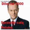 Największy polski diler