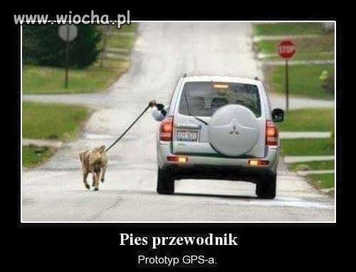 Szczyt lenistwa??
