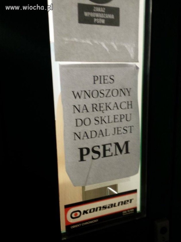 Pies dalej będzie psem