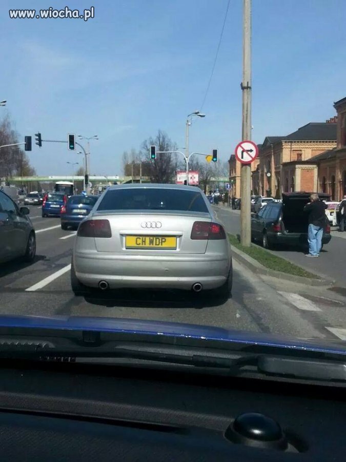 Zabić zanim złoży jaja 