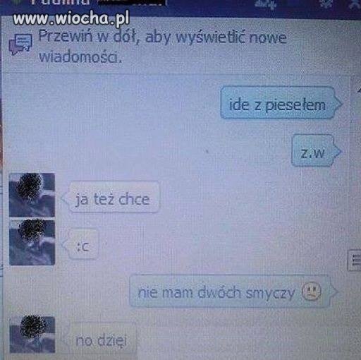 Wyjście z psem